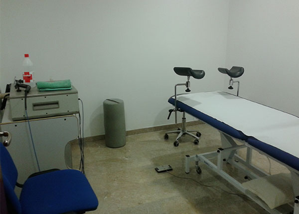 Uroginecologia